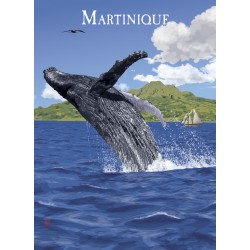 Martinique - La baleine