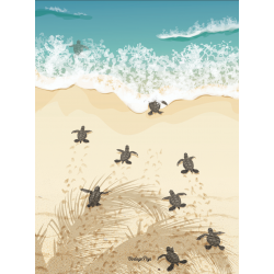 Torchon tortues