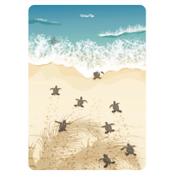 Carte postale A6 Tortue
