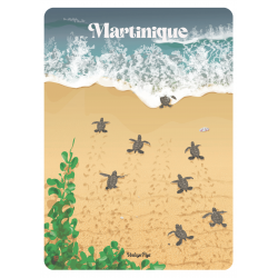 Carte postale A6 Tortues...