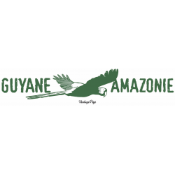Autocollant Ara Guyane...